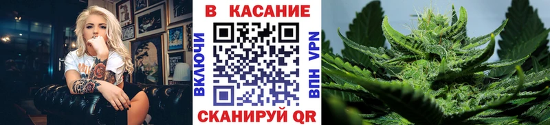 Виды наркотиков купить Петрозаводск Каннабис  Галлюциногенные грибы  Меф  Alpha PVP 