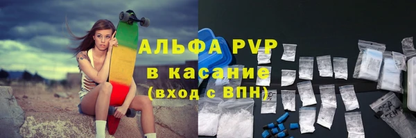 стафф Верхний Тагил