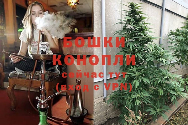 мет Верея