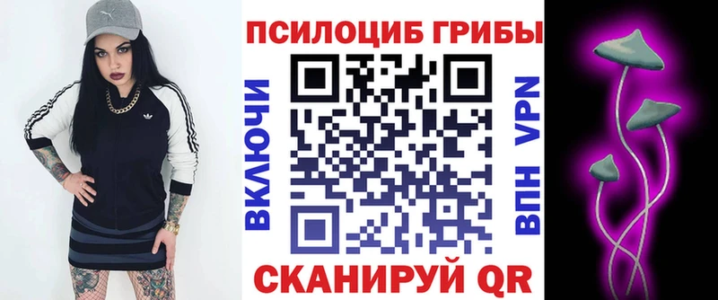 это Telegram  Петрозаводск  Псилоцибиновые грибы Magic Shrooms  kraken tor 
